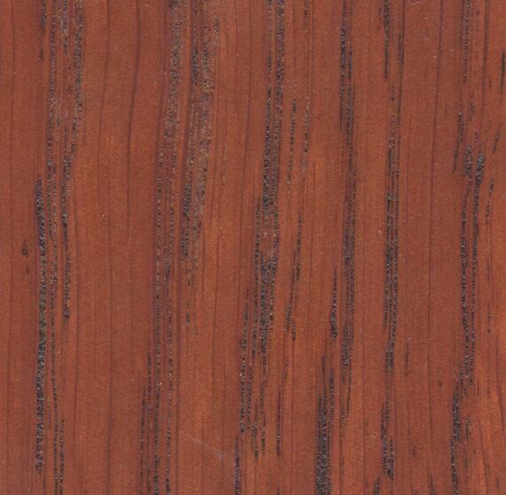 Дуб морёный